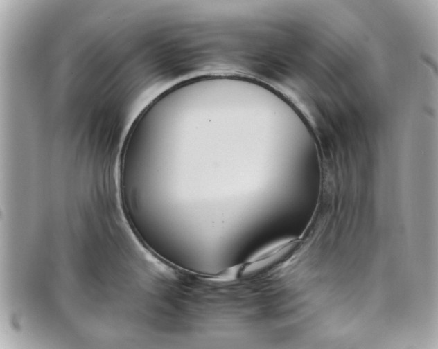 X0000097761343200803211706