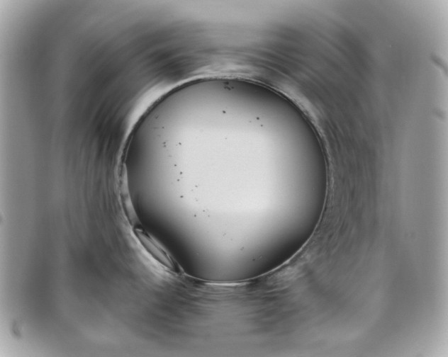 X0000097761344200803211706