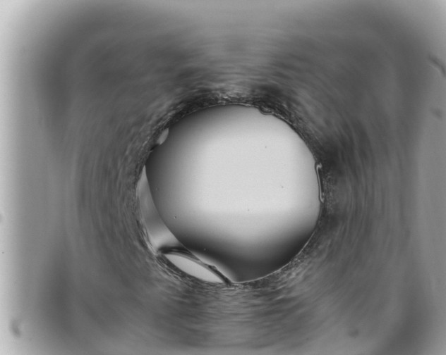 X0000097761345200803211705