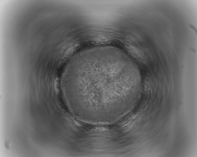 X0000097761346200803211705