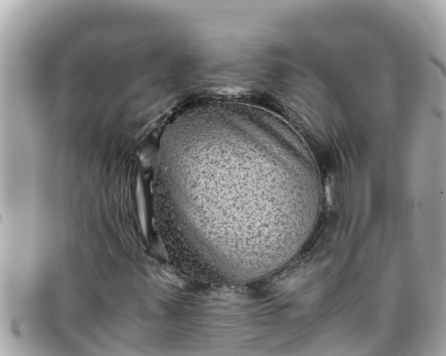 X0000097761347200803211705