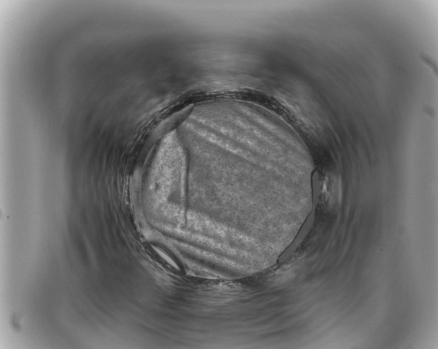 X0000097761348200803211705