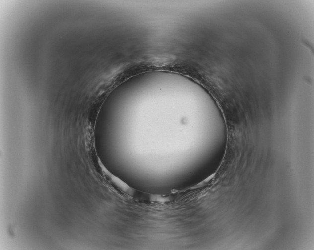 X0000097761349200803211705