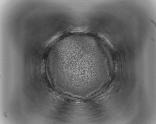 X0000097761350200803211705