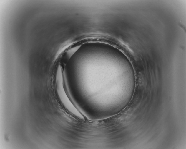 X0000097761352200803211705