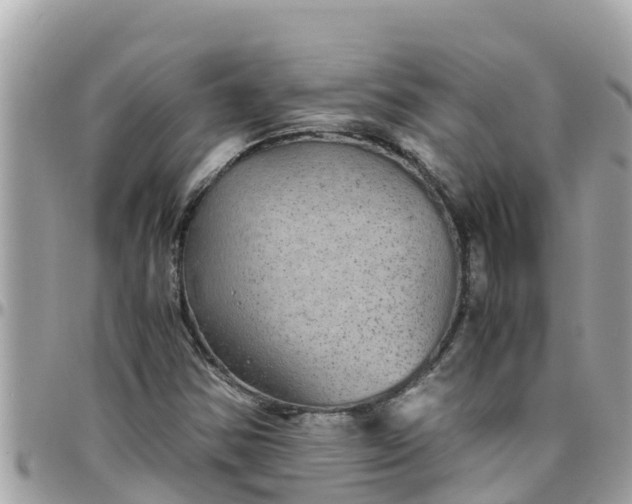 X0000097761354200803211705