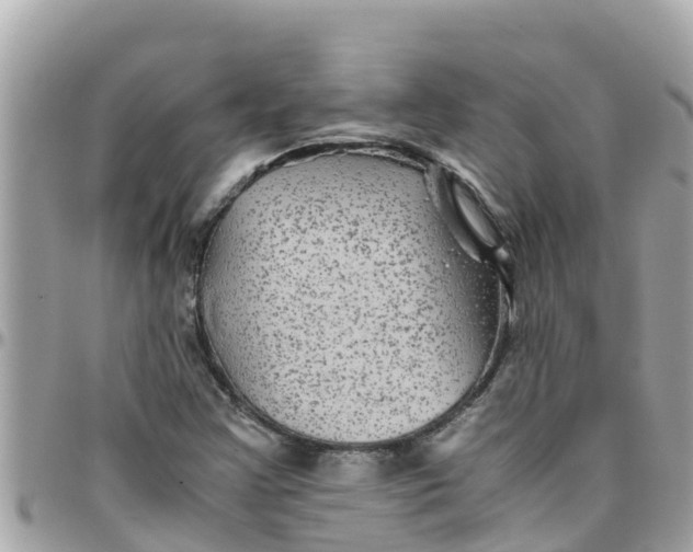 X0000097761355200803211705