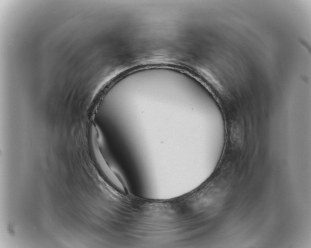 X0000097761356200803211705