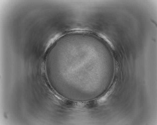 X0000097761357200803211705