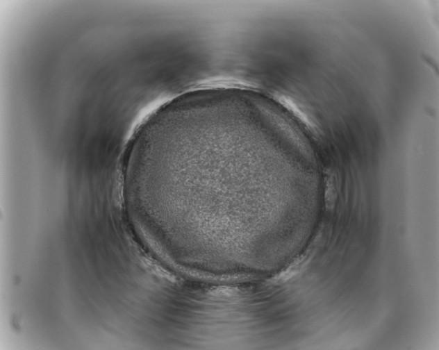 X0000097761358200803211705