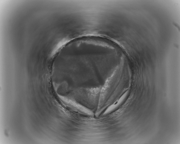 X0000097761359200803211705