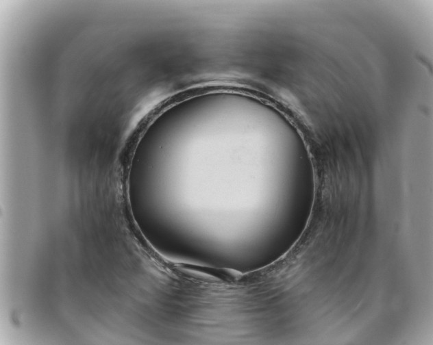 X0000097761360200803211705