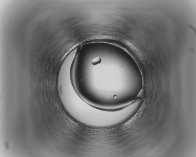 X0000097761361200803211705