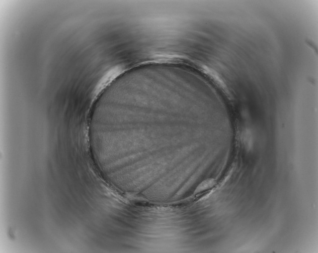 X0000097761362200803211705