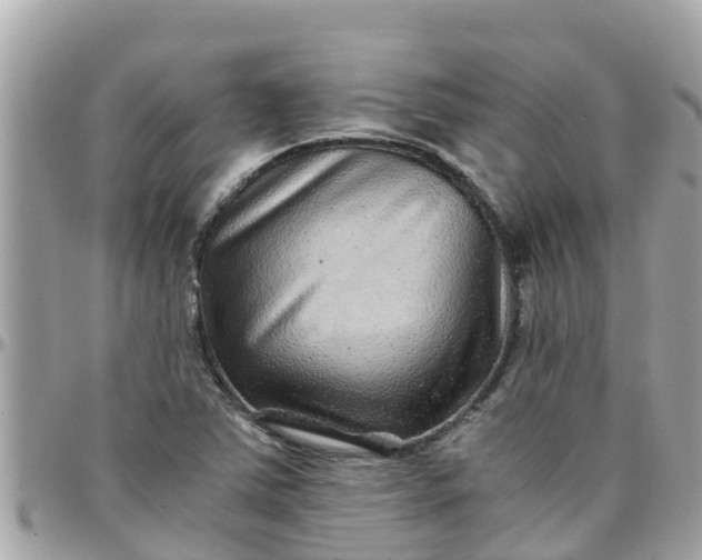 X0000097761363200803211705