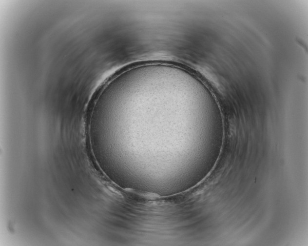 X0000097761364200803211705