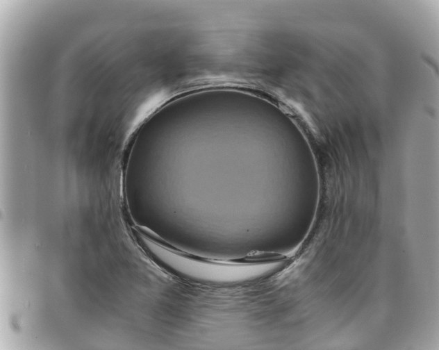 X0000097761365200803211705