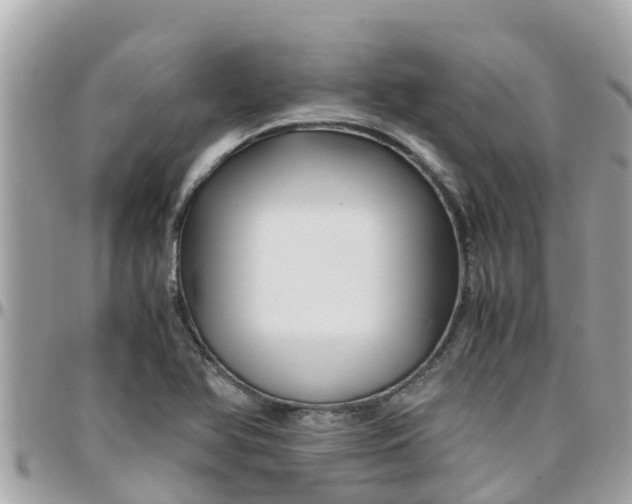 X0000097761366200803211705