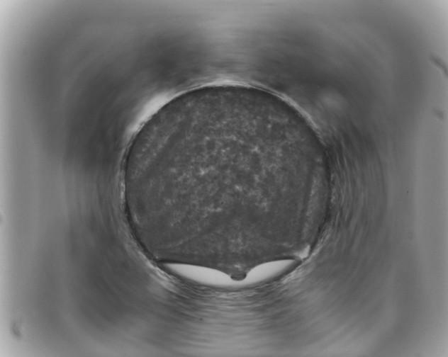 X0000097761367200803211705