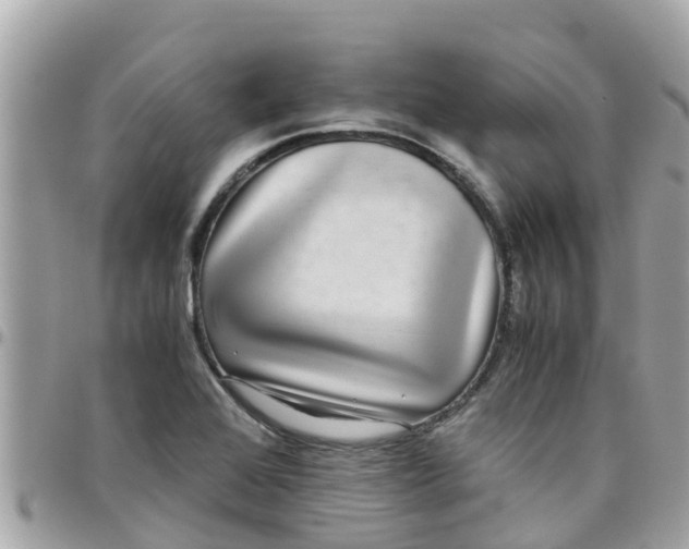 X0000097761368200803211705