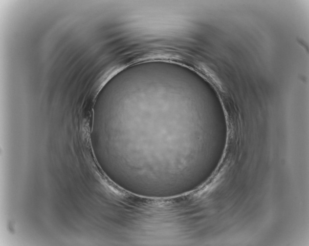 X0000097761369200803211705