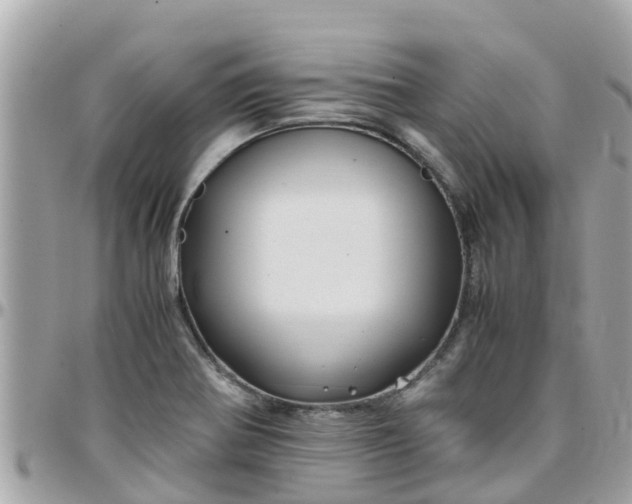 X0000097761370200803211705