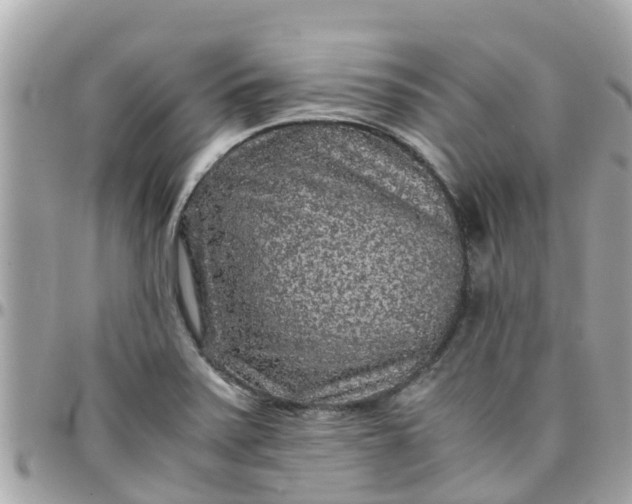 X0000097761371200803211705