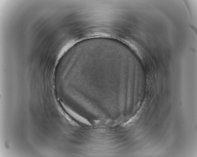 X0000097761373200803211705