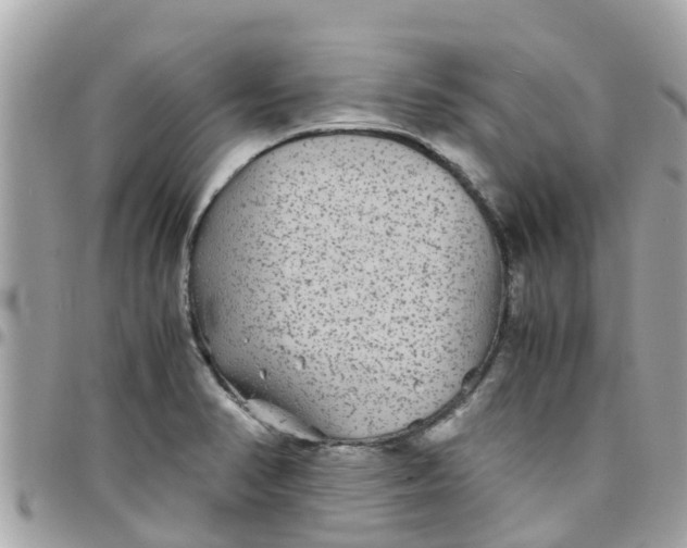 X0000097761374200803211705