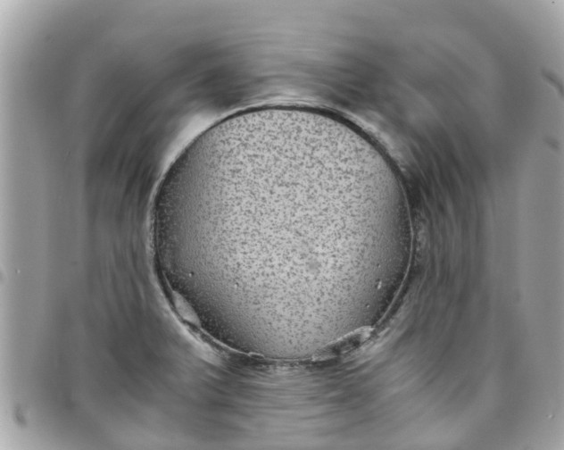 X0000097761375200803211705