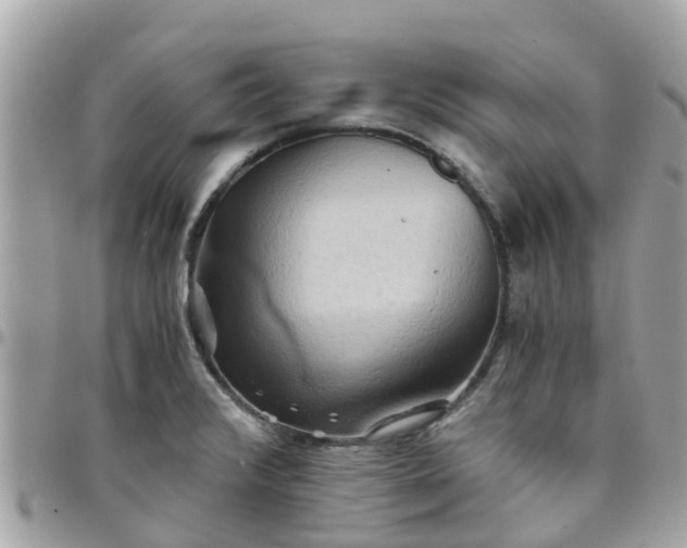 X0000097761376200803211705