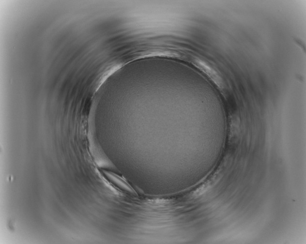 X0000097761377200803211705