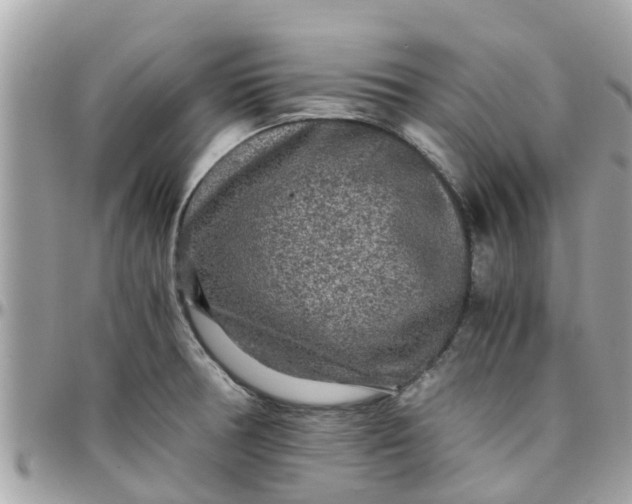 X0000097761378200803211705