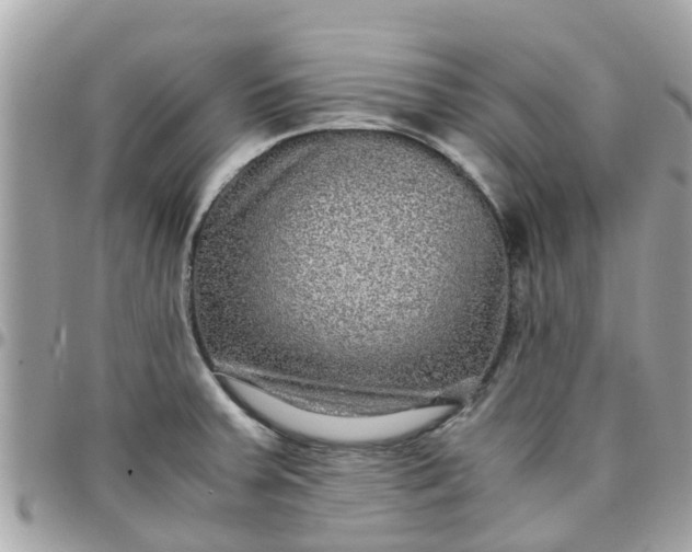 X0000097761379200803211705