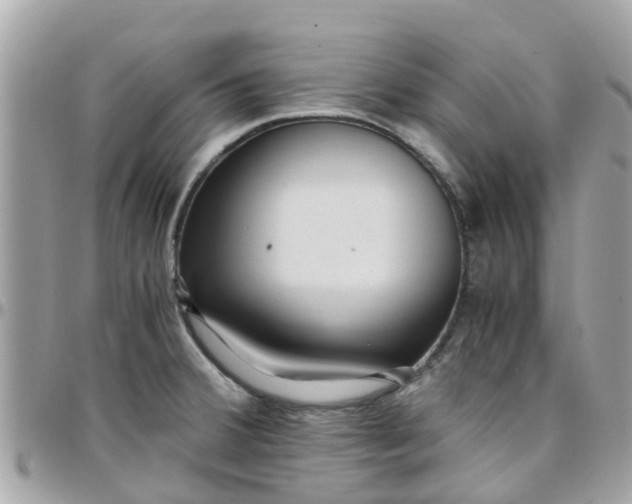 X0000097761380200803211705