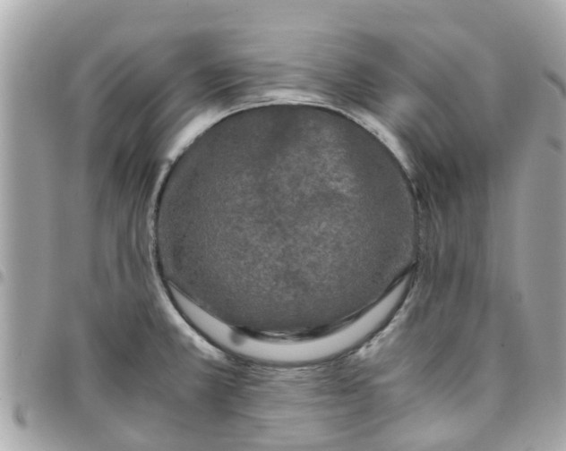 X0000097761381200803211705