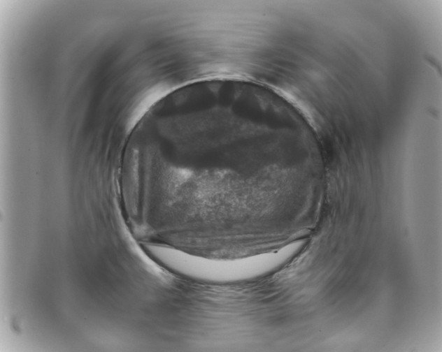 X0000097761383200803211705