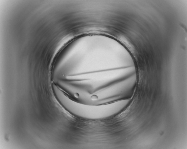 X0000097761384200803211705