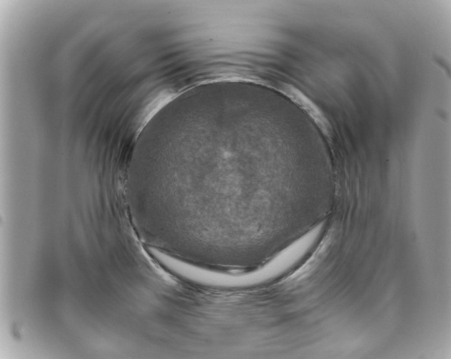 X0000097761385200803211705