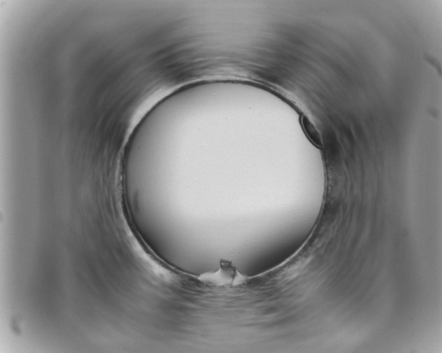 X0000097761387200803211705