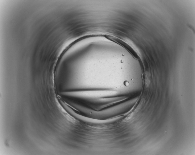 X0000097761388200803211705