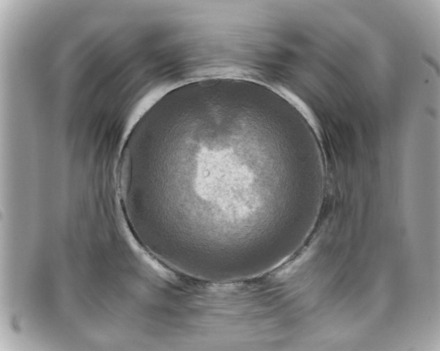 X0000097761389200803211705