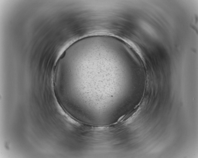 X0000097761390200803211705