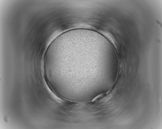 X0000097761391200803211705