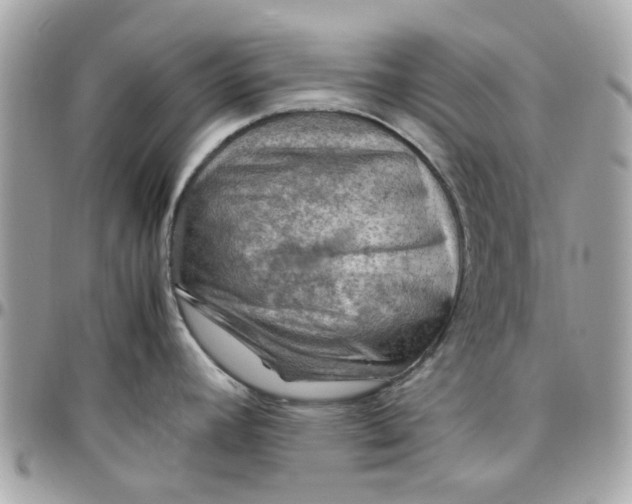 X0000097761392200803211705