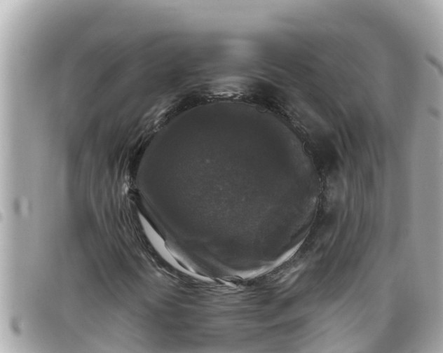 X0000097761394200803211704