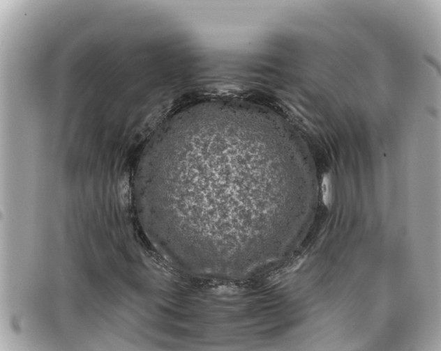 X0000097761395200803211704