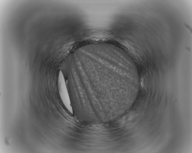 X0000097761396200803211704