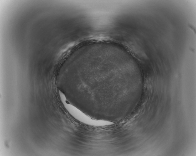 X0000097761398200803211704