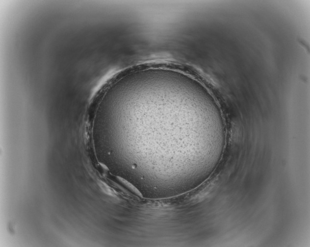 X0000097761400200803211704